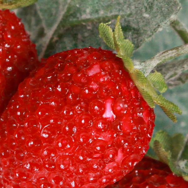 Nahaufnahme von künstlichen Erdbeeren mit Blättern