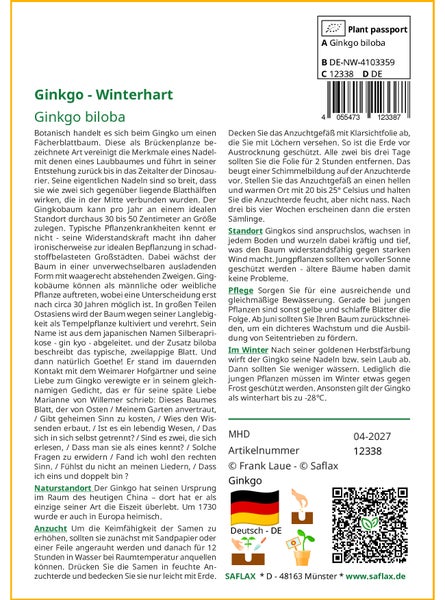 SAFLAX Garden to go - Ginkgo - Ginkgo biloba - 4 Samen - Mit Topf, Klima - Deckel und Anzuchtsubstrat