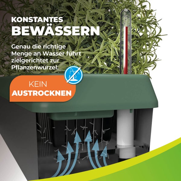 Querschnitt eines Pflanzkastens mit Selbstbewässerungssystem, Wasserreservoir und Wasserstandsanzeige zur Vermeidung von Austrocknung der Wurzeln.