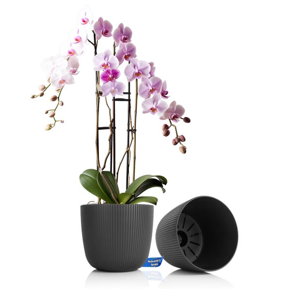 BigDean 2 Stück Blumentopf rund Übertopf Ø15 x H13 cm 1,8L Volumen – wetterfester Pflanztopf – mit Drainage-System aus bruchsicherem Kunststoff – Indoor + Outdoor geeigent – Made in Europe