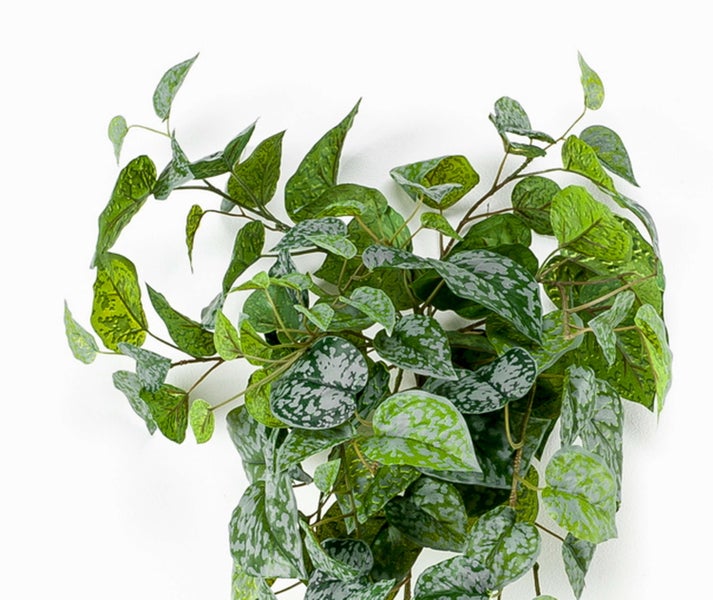 Künstliche Alocasia Pflanze mit großen grünen Blättern im schwarzen Topf.