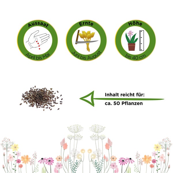 Estragon Mehrjährig Samen von Deine Gartenwelt