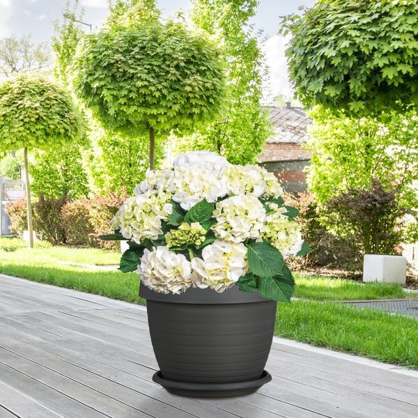Scheurich 3er Set Blumentöpfe Country Star 40 mit Untersetzern, rund,  aus Kunststoff Farbe: Metallic Grey, 39 cm Durchmesser, 30 cm hoch, 21,5 l Vol.