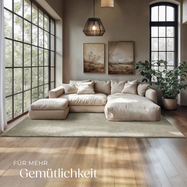Ein helles, modernes Wohnzimmer mit einem großen beigen Ecksofa, einem passenden Teppich auf hellem Holzboden und großen Sprossenfenstern.