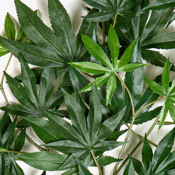 Künstliche grüne Blätter mit gezackten Rändern in fächerartiger Form.