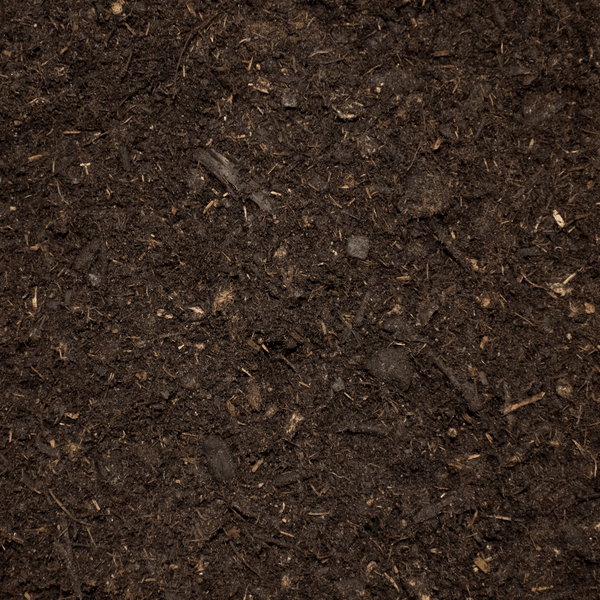 Nahaufnahme von dunkler Blumenerde mit organischen Fasern und kleinen Holzstücken.