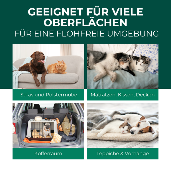 Silberkraft Flohspray für Umgebung 500ml, effektives Flohmittel gegen Flöhe, Zecken & Milben,  Flohspray für Wohnung und Möbel, ideal für Textilien, Hundebetten, Teppiche & Polster