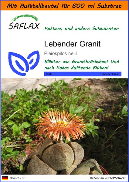 SAFLAX Garden in the bag - Lebender Granit - Pleiospilos nelii - 40 Samen - Mit Anzuchtsubstrat im praktischen, selbst aufstellenden Beutel