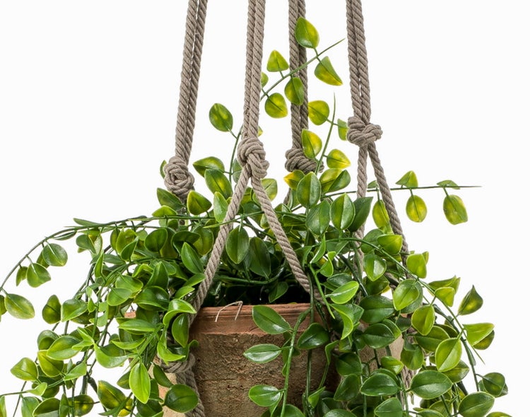 Künstliche Hängepflanze in einem Tontopf mit Makramee-Aufhängung aus Seil.