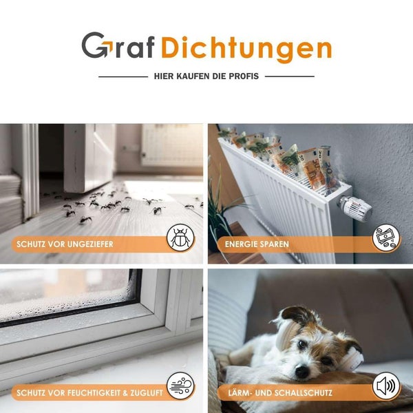 Graf Dichtungen Logo mit Beispielen für Schutz vor Ungeziefer, Energieeinsparung, Schutz vor Feuchtigkeit und Zugluft sowie Lärmschutz.