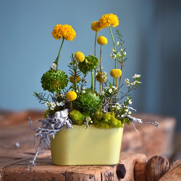 Blumengesteck mit gelben Blüten, Trommelstöckchen und Sukkulenten in einem rechteckigen Pflanzgefäß als dekorative Tischdekoration.
