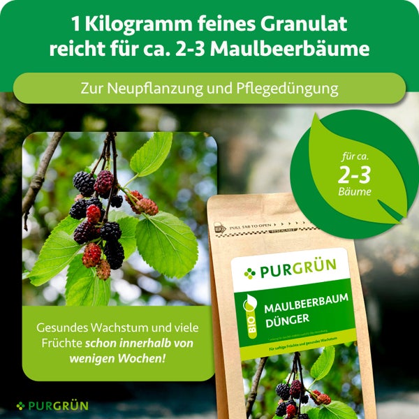 Purgrün Logo. 1 Kilogramm Bio-Maulbeerbaum Dünger für circa 2 bis 3 Bäume, für Neupflanzung und Pflegedüngung, für gesundes Wachstum.