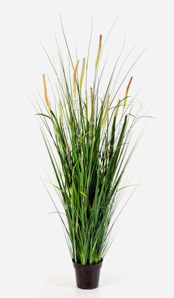 Künstliche Gerbera am langen Stiel mit cremefarbenen Blütenblättern und gelber Mitte.