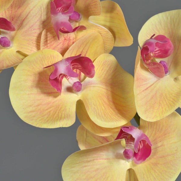 Künstliche Orchidee Phalaenopsis in Nahaufnahme mit gelben Blütenblättern und pinkfarbenem Zentrum.