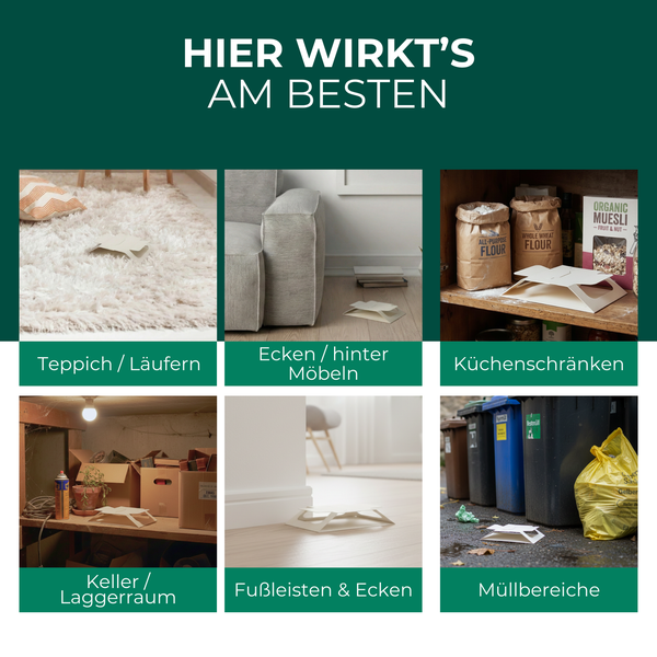 Produktbild zeigt Anwendungsbereiche unter anderem auf Teppichen, hinter Möbeln, in Küchenschränken, Kellern, an Fußleisten und in Müllbereichen.