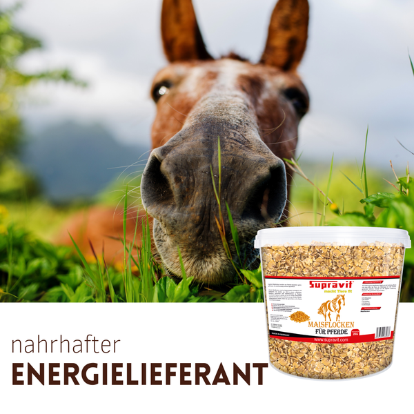 Supravit Pferdefutter Maisflocken, dargestellt mit einem Pferd im Hintergrund