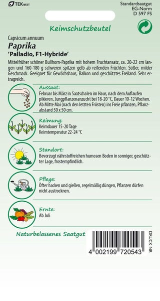 Paprikasamen der Sorte 'Palladio, F1-Hybride' im Keimschutzbeutel