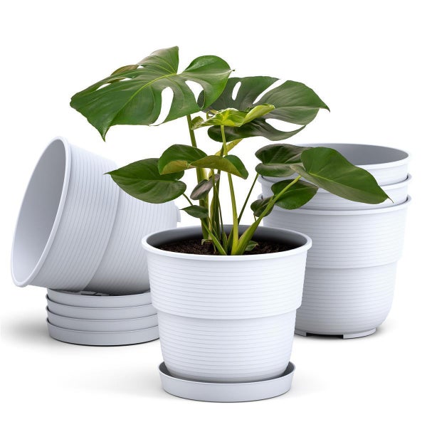 Monstera-Pflanze in weißem Kunststoff-Blumentopf mit horizontalen Rillen und Untersetzer, umgeben von gestapelten leeren Töpfen.