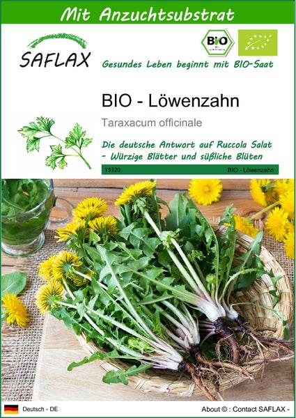 SAFLAX  - BIO - Löwenzahn - Taraxacum officinale - 400 Samen - Mit keimfreiem Anzuchtsubstrat