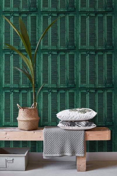 Szene mit Pflanze im Korb, Kissen und Bank vor einer grünen Fensterladen-Tapete