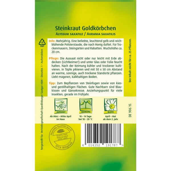 Steinkraut Goldkörbchen Samen von Quedlinburger SAATGUT