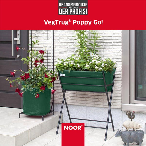 VegTrug Poppy Go Hochbeet mit Pflanzen vor einem Haus