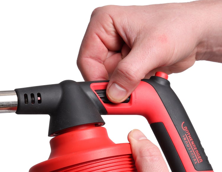 Nahaufnahme von einem Ahornbaumstamm mit Blättern