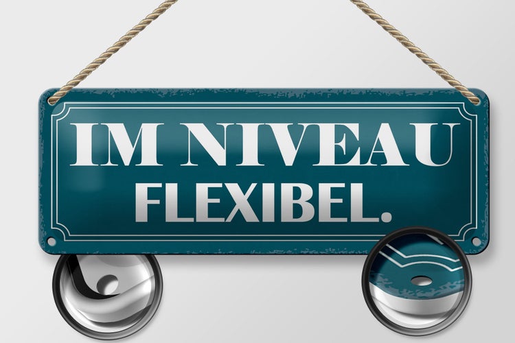Blechschild Spruch 27x10cm im Niveau flexibel Dekoration