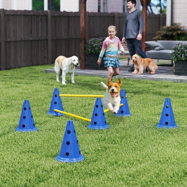 Hund springt über eine Agility-Hürde aus blauen Kunststoffpylonen und gelben Stangen in einem Garten.