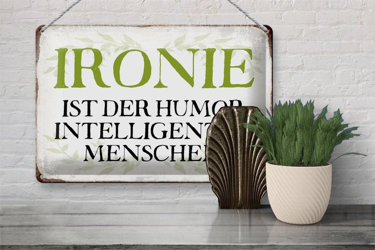 Blechschild Spruch 30x20cm Ironie Humor intelligent