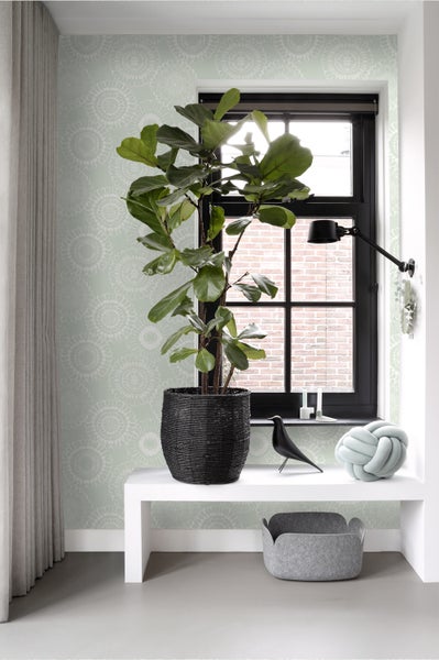 Raumdekoration mit Zimmerpflanze, Fenster und dekorativen Elementen