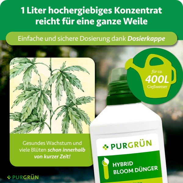 Purgrün Hybrid Bloom Dünger, 1 Liter Konzentrat für circa 400 Liter Gießwasser, mit Dosierkappe für gesundes Wachstum und Blüten.