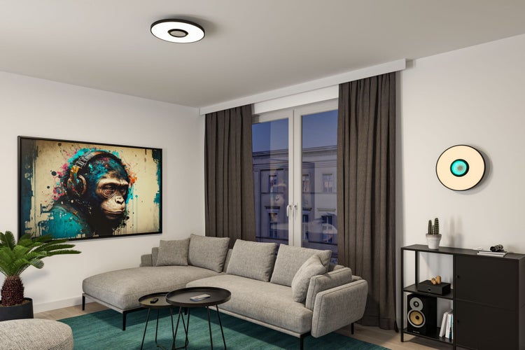 Modernes Wohnzimmer mit grauem Ecksofa, runder Deckenleuchte, kreisförmiger Wandleuchte und großem Wandbild.