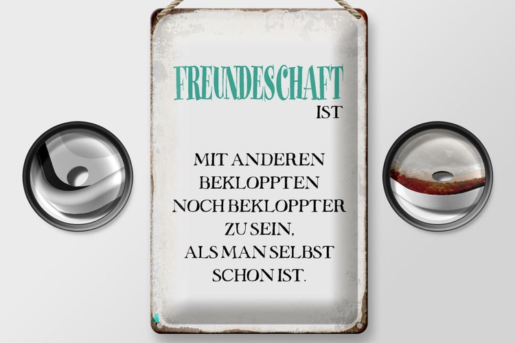 Blechschild Spruch 20x30cm Freundschaft ist mit anderen