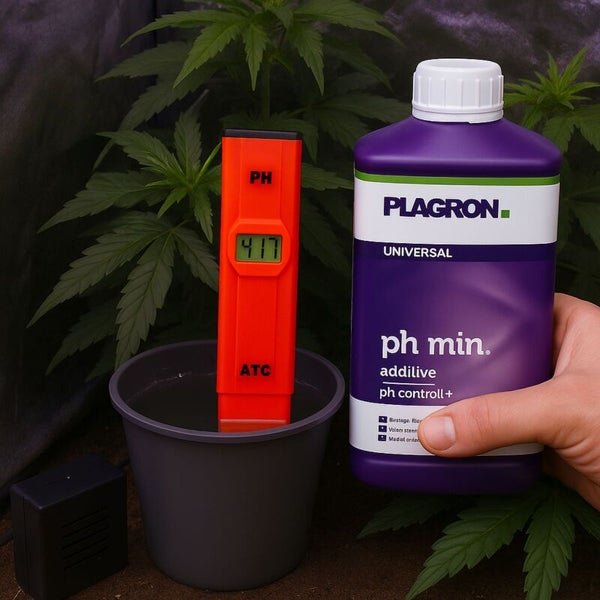 Eine Flasche Plagron pH-Minus-Additiv mit einem pH-Messgerät in einem Topf mit Wasser vor Pflanzen.