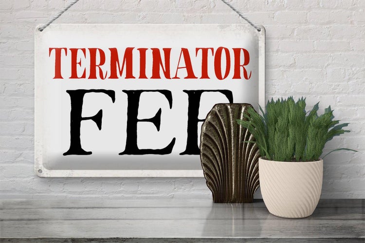 Blechschild Spruch 30x20cm Terminator Fee Retro