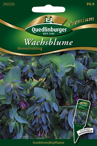 Quedlinburger Logo, Samentüte Wachsblume, bienenfreundliche Insektennährpflanze mit blau-violetten Blüten und Sortenetikett.