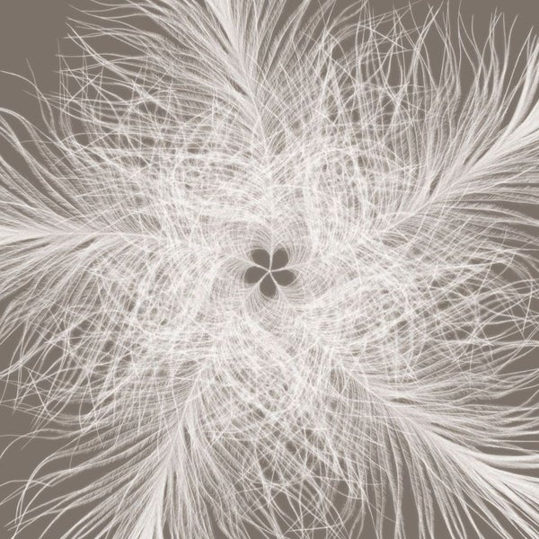 Abstraktes Federdesign für Wohnraumgestaltung