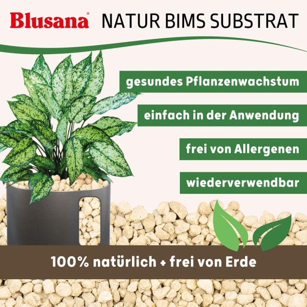 Blusana Bimsstein Pflanzsubstrat für Pflanzen natürliches  Vulkangestein mineralisches Bims Granulat grobe Körnung 8-16 mm Hydrokultur Drainage Dekor