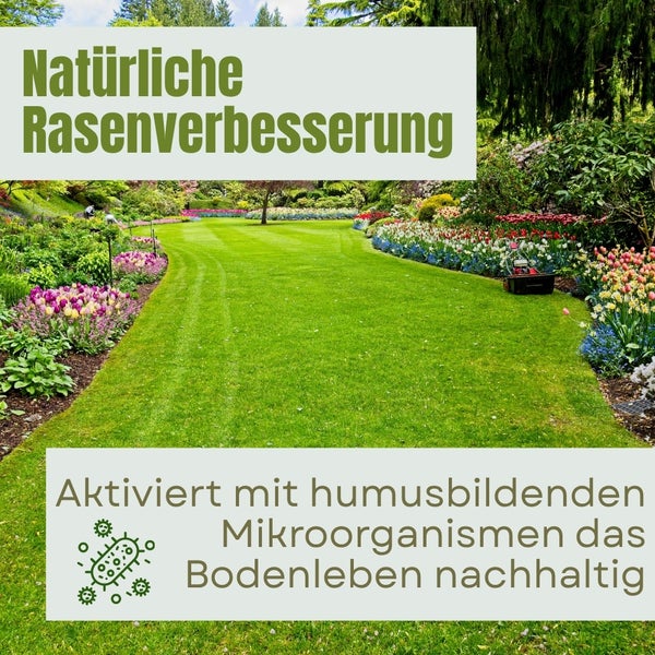 Garten mit Rasenfläche und dem Text Natürliche Rasenverbesserung