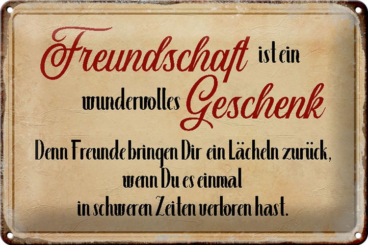 Blechschild Spruch 30x20cm Freundschaft ist ein wundervolles