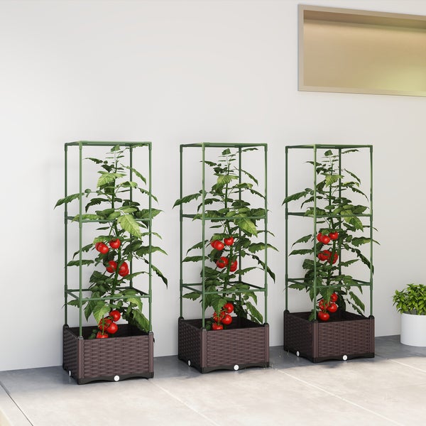 Drei Tomatenpflanzen mit roten Früchten in braunen Pflanzkästen mit grünen Rankhilfen auf einer Terrasse.