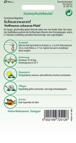 Samenpackung Schwarzwurzel 'Hoffmanns schwarze Pfahl' von Tekwest