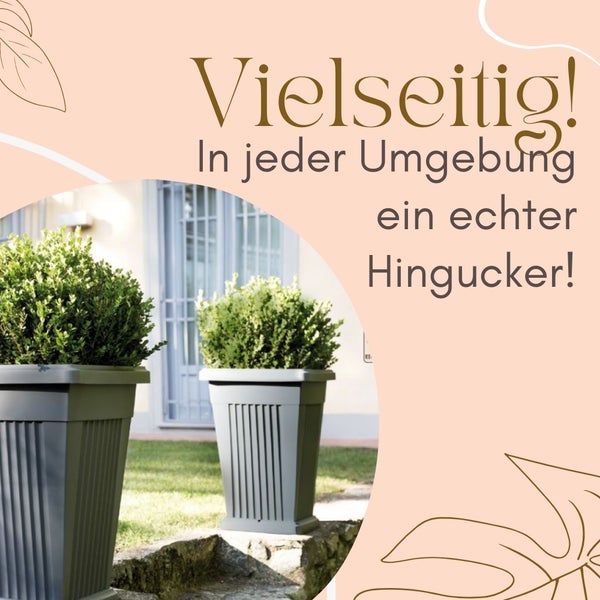 Dekorative Pflanzkübel mit Bepflanzung im Außenbereich
