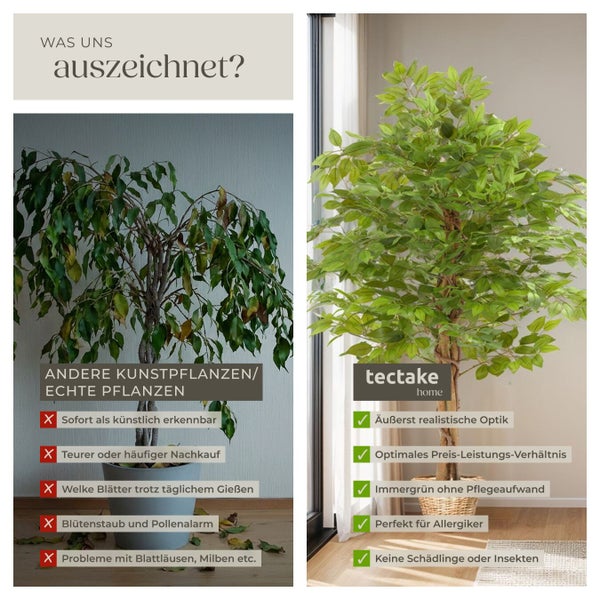 Vergleich zwischen unechter und echter Pflanze mit den Vorteilen der Kunstpflanze von tectake home.