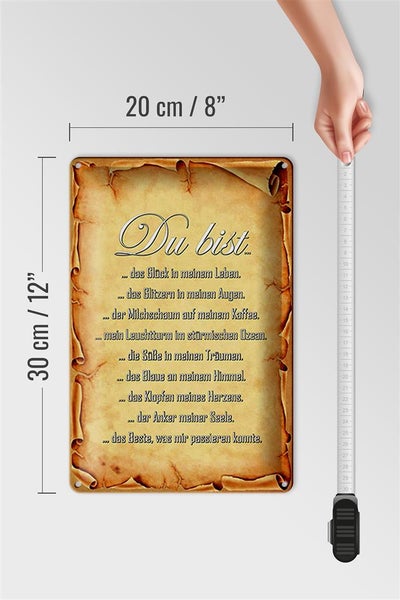 Blechschild Spruch 20x30cm Du bist Glück in meinem Leben