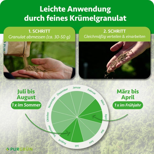 Infografik Anwendung feines Krümelgranulat: Schritt 1 circa 30 bis 50 Gramm abmessen, Schritt 2 verteilen. Purgrün Logo. Frühjahr und Sommer.