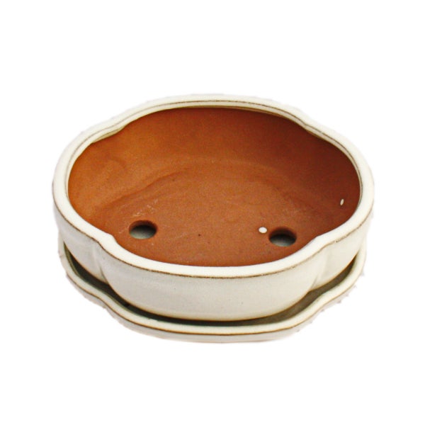Bonsai-Schale mit Unterteller Gr. 3 hellbeige haitang/oval  Modell I5 L 17cm B 14cm H 5,5cm