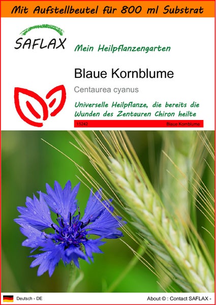 SAFLAX Garden in the bag - Blaue Kornblume - Centaurea cyanus - 27000 Samen - Mit Anzuchtsubstrat im praktischen, selbst aufstellenden Beutel