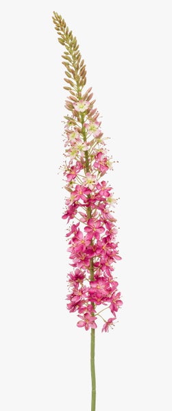 Künstliche Steppenkerze mit pinken Blüten an einem langen Stiel.